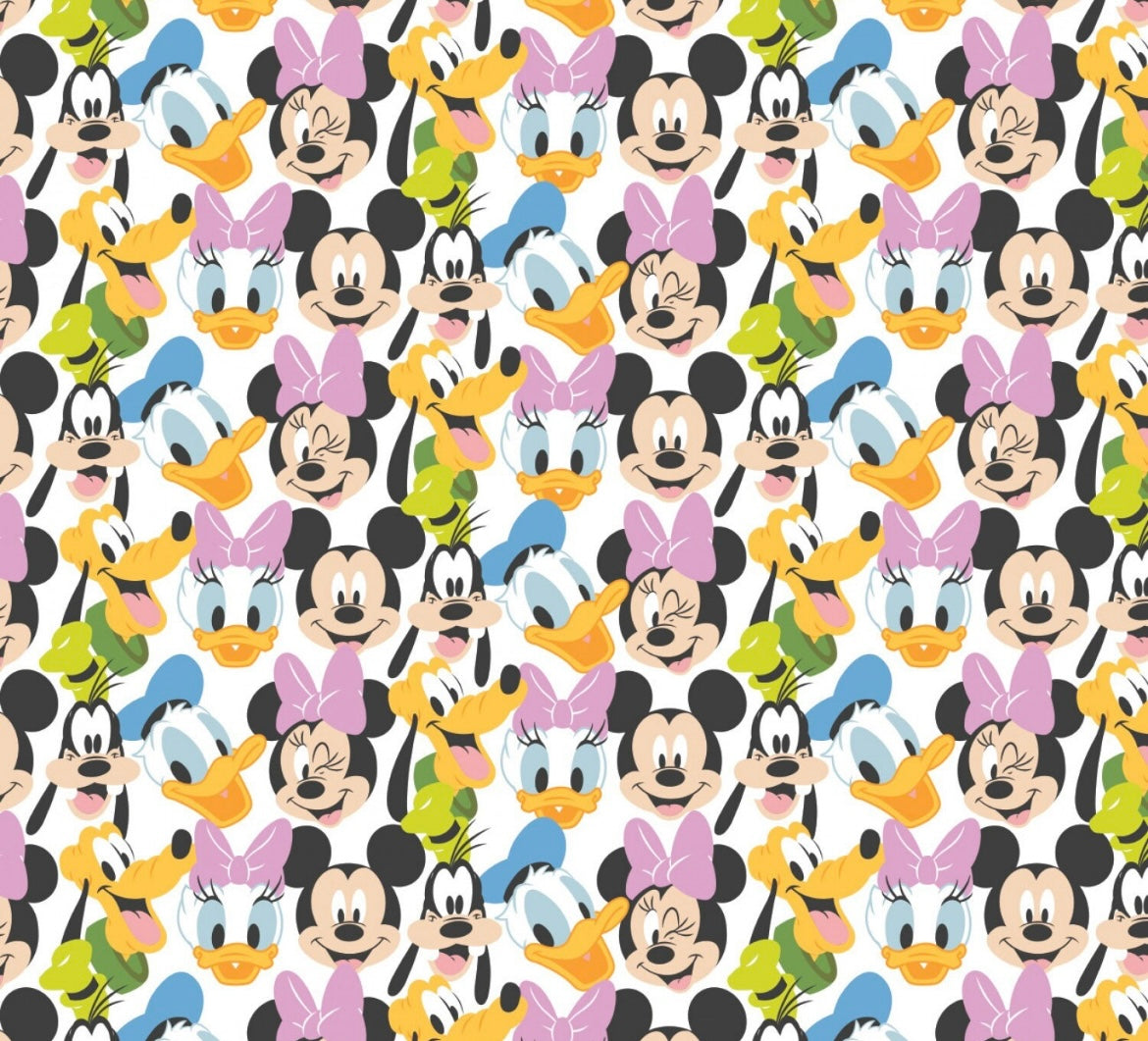 PREORDER mouse & friends soft soled baby shoes